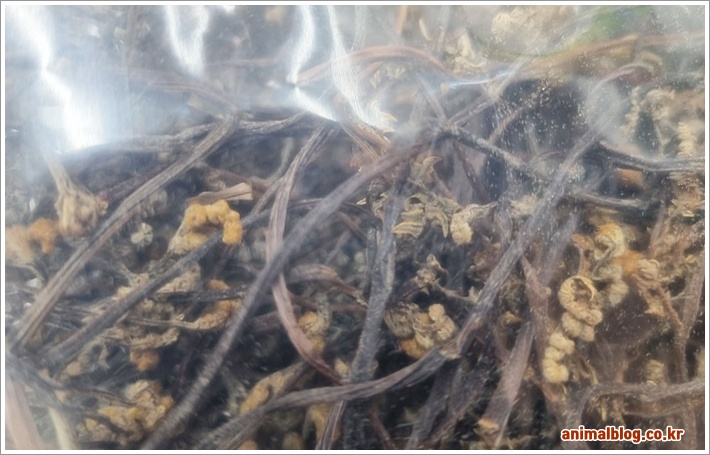 삶은 건고사리 이미지