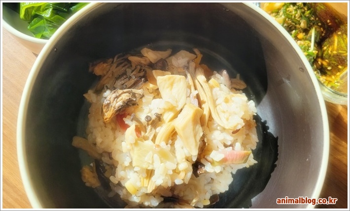 버섯밥 양념장 만들기 쉽고 맛있는 레시피 안내 버섯밥 양념장 만들기 쉽고 맛있는 레시피 안내