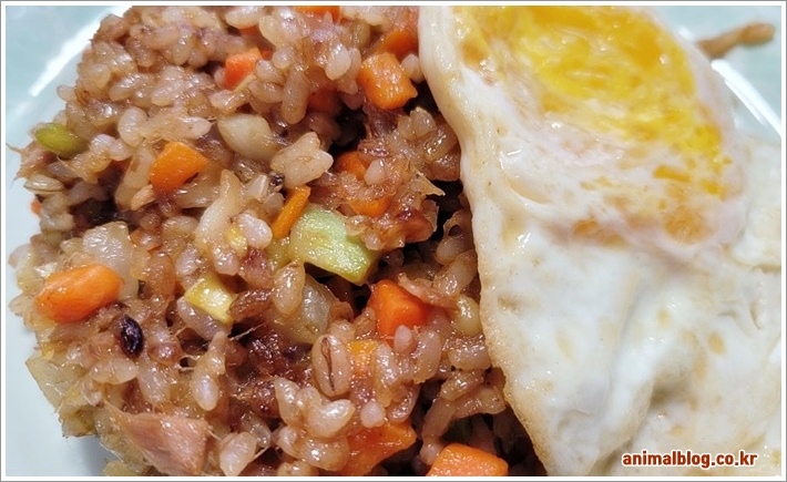 건강한 참치야채볶음밥 레시피와 칼로리 정보 알아보기 건강한 참치야채볶음밥 레시피와 칼로리 정보 알아보기