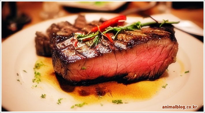 맛있고 간편한 함박스테이크 소스 레시피로 칼로리 걱정 없이 즐기기 맛있고 간편한 함박스테이크 소스 레시피로 칼로리 걱정 없이 즐기기