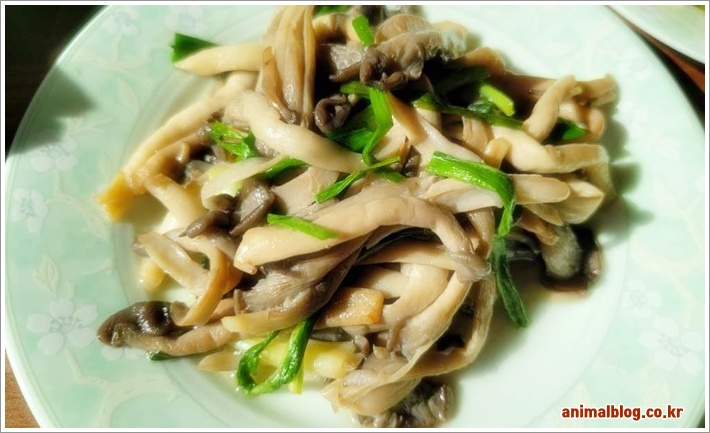 저칼로리 느타리버섯볶음 레시피 쉽게 만드는법과 영양정보
