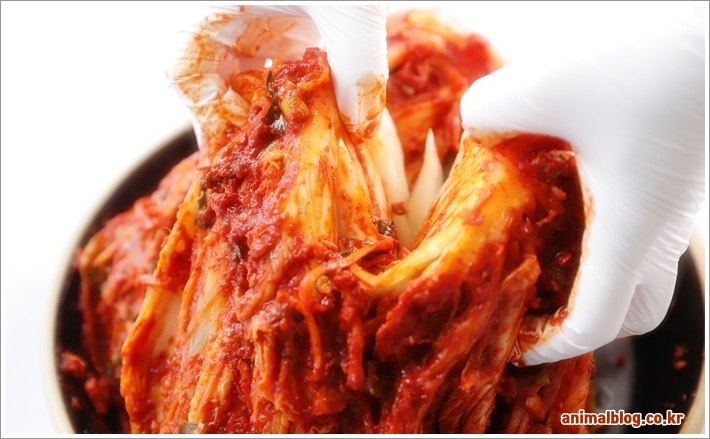 칼로리 걱정 없는 배추김치 양념 레시피 쉽게 만들기