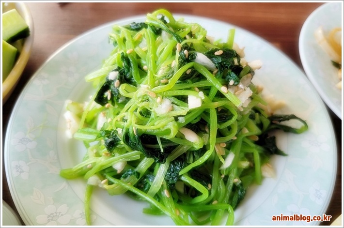 참나물무침 효능과 칼로리 파헤치기 건강한 레시피 소개