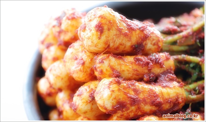 총각김치 맛있게 담그는 법과 팁 완벽 가이드