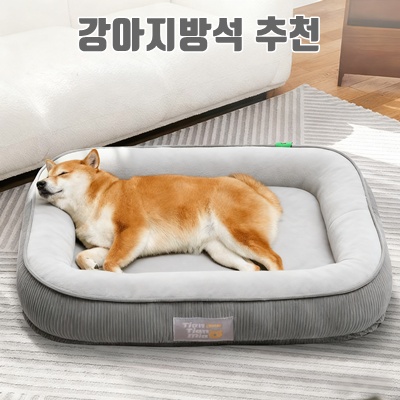 편안하고 스타일리시한 강아지 방석 추천 Best 5 편안하고 스타일리시한 강아지 방석 추천 Best 5