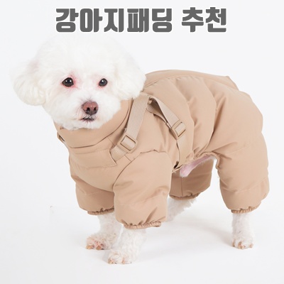 강아지패딩추천 따뜻하고 스타일리시한 강아지 겨울옷 선택 가이드 강아지패딩추천 따뜻하고 스타일리시한 강아지 겨울옷 선택 가이드