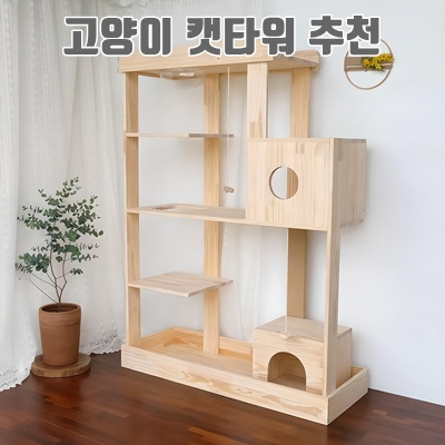 캣타워 추천으로 우리 고양이 행복하게 만드는 방법 캣타워 추천으로 우리 고양이 행복하게 만드는 방법