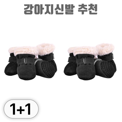 강아지신발 추천 최고의 선택과 구매 가이드