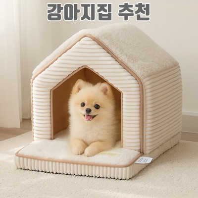 강아지집 추천과 선택 가이드로 완벽한 반려 공간 만들기