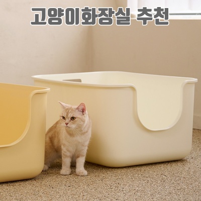 최고의 고양이 화장실 추천과 선택 가이드