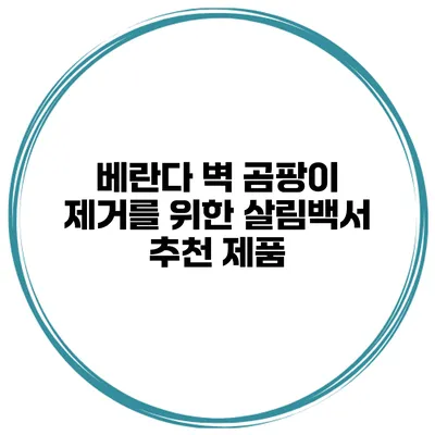 베란다 벽 곰팡이 제거를 위한 살림백서 추천 제품