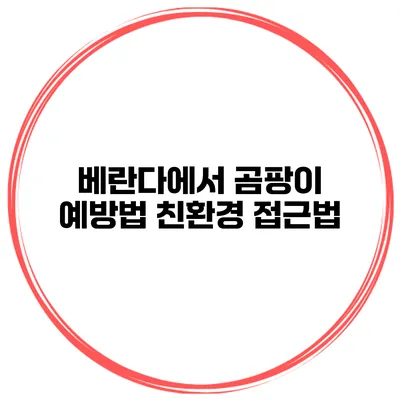 베란다에서 곰팡이 예방법 친환경 접근법