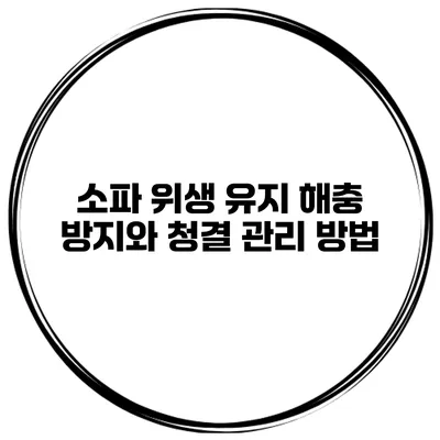 소파 위생 유지 해충 방지와 청결 관리 방법