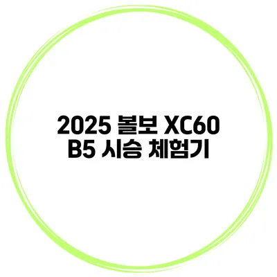2025 볼보 XC60 B5 시승 체험기