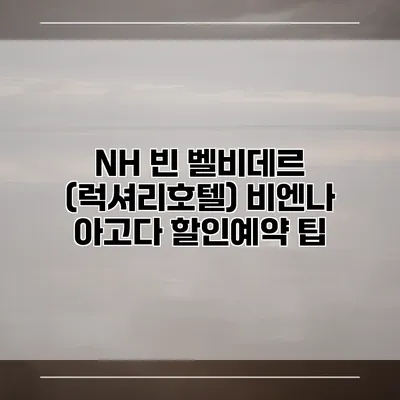 NH 빈 벨비데르 (럭셔리호텔) 비엔나 아고다 할인예약 팁
