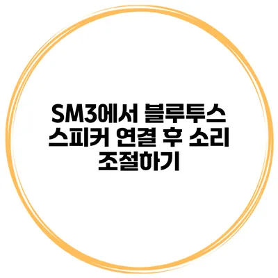 SM3에서 블루투스 스피커 연결 후 소리 조절하기