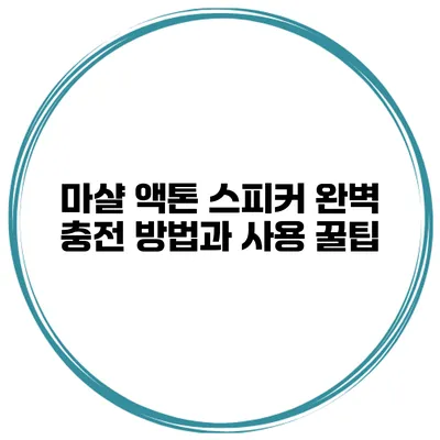마샬 액톤 스피커 완벽 충전 방법과 사용 꿀팁