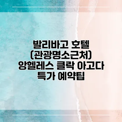 발리바고 호텔 (관광명소근처) 앙헬레스 클락 아고다 특가 예약팁