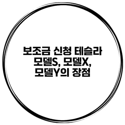 보조금 신청 테슬라 모델S, 모델X, 모델Y의 장점