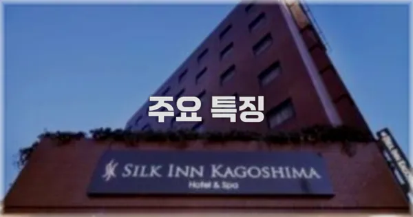 ✨ 주요 특징