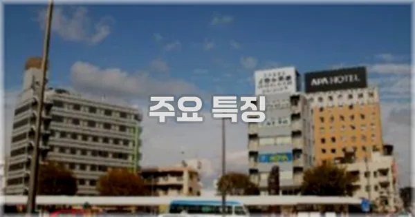 ✨ 주요 특징