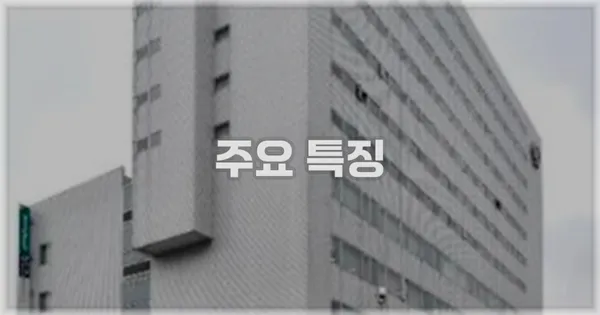 ✨ 주요 특징