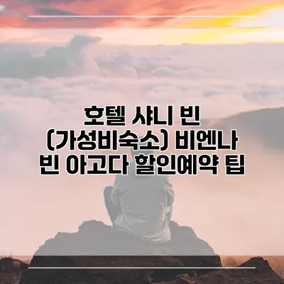 호텔 샤니 빈 (가성비숙소) 비엔나 빈 아고다 할인예약 팁