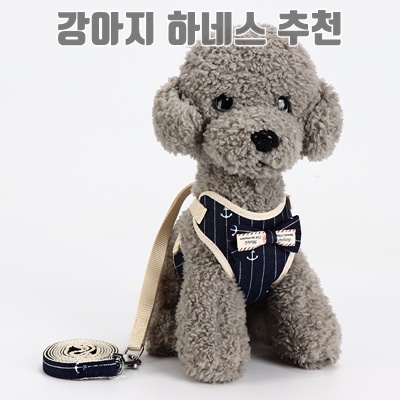 강아지 하네스 추천과 선택 가이드 강아지 하네스 추천과 선택 가이드