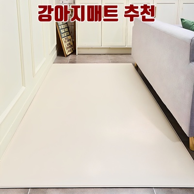 강아지매트 추천 완벽 가이드와 구매 팁